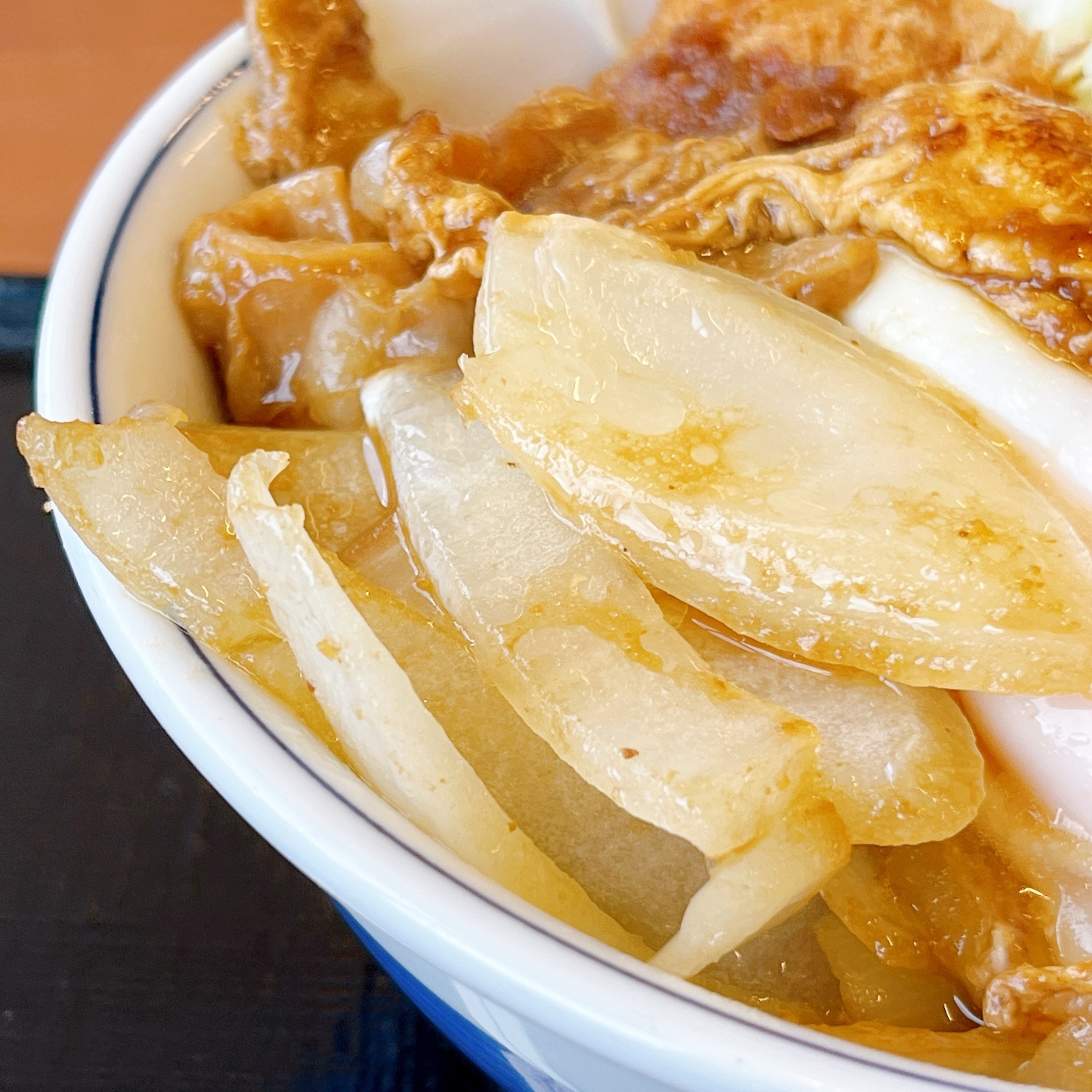 かつやのおすすめメニュー「ホル玉とロースカツの合い盛り丼」