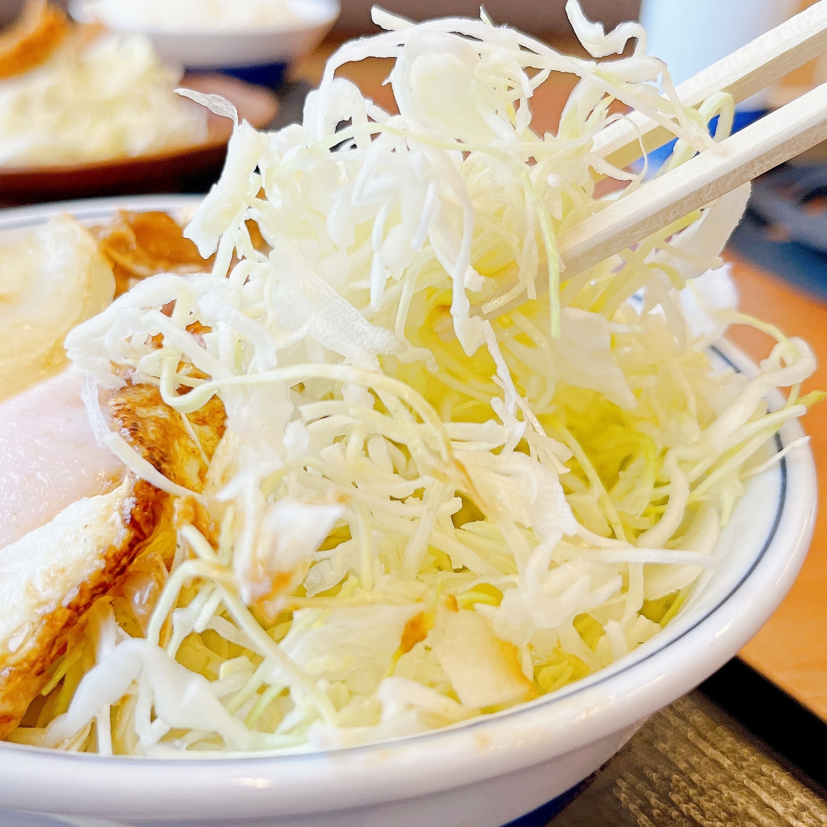 かつやのおすすめメニュー「ホル玉とロースカツの合い盛り丼」