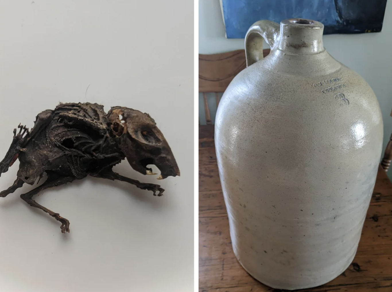 A mummified small animal next to a ceramic jug on a wooden surface