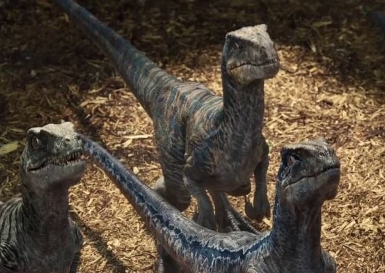 Three CGI velociraptors from Jurassic Park series, staring intently, in a natural, earthy environment