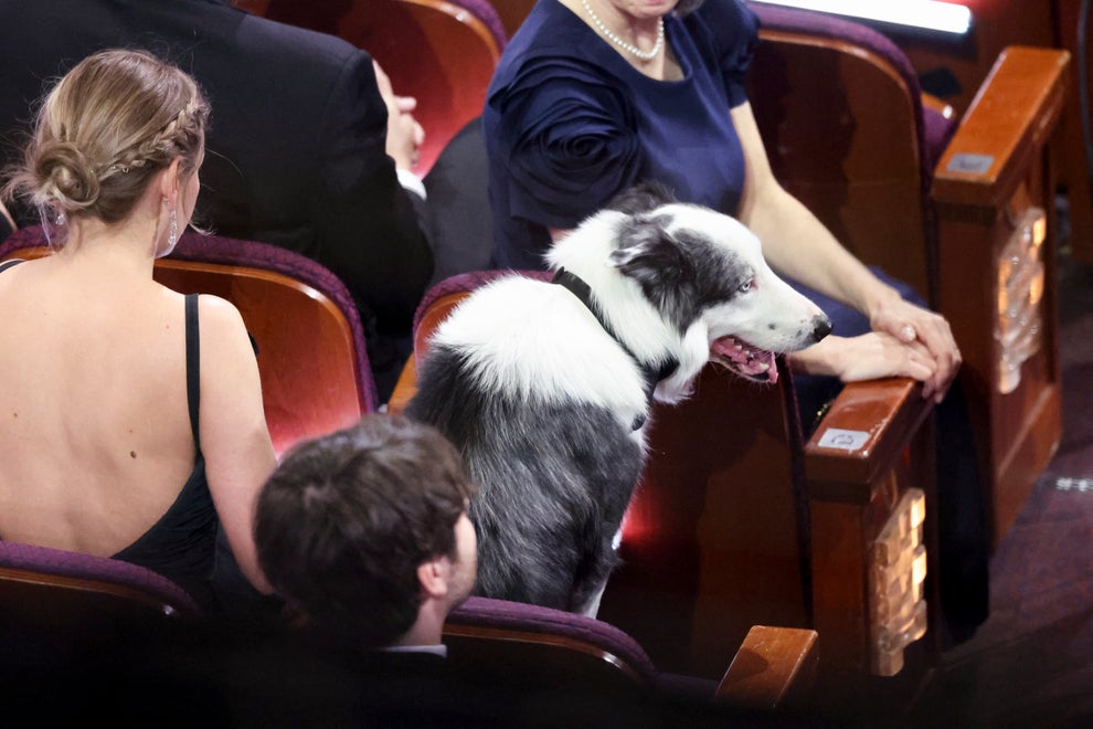 Oscars Producer Explains Messi The Dog's Viral Clapping Moment