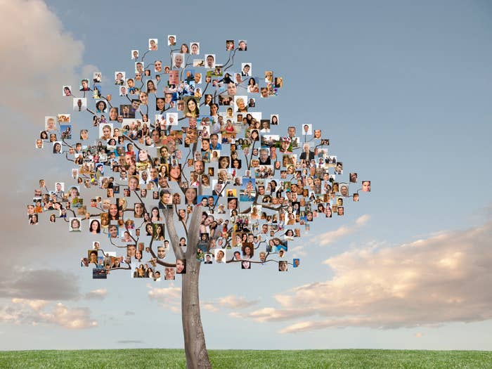 A tree with numerous photo frames on branches, each containing different individuals, against a sky background