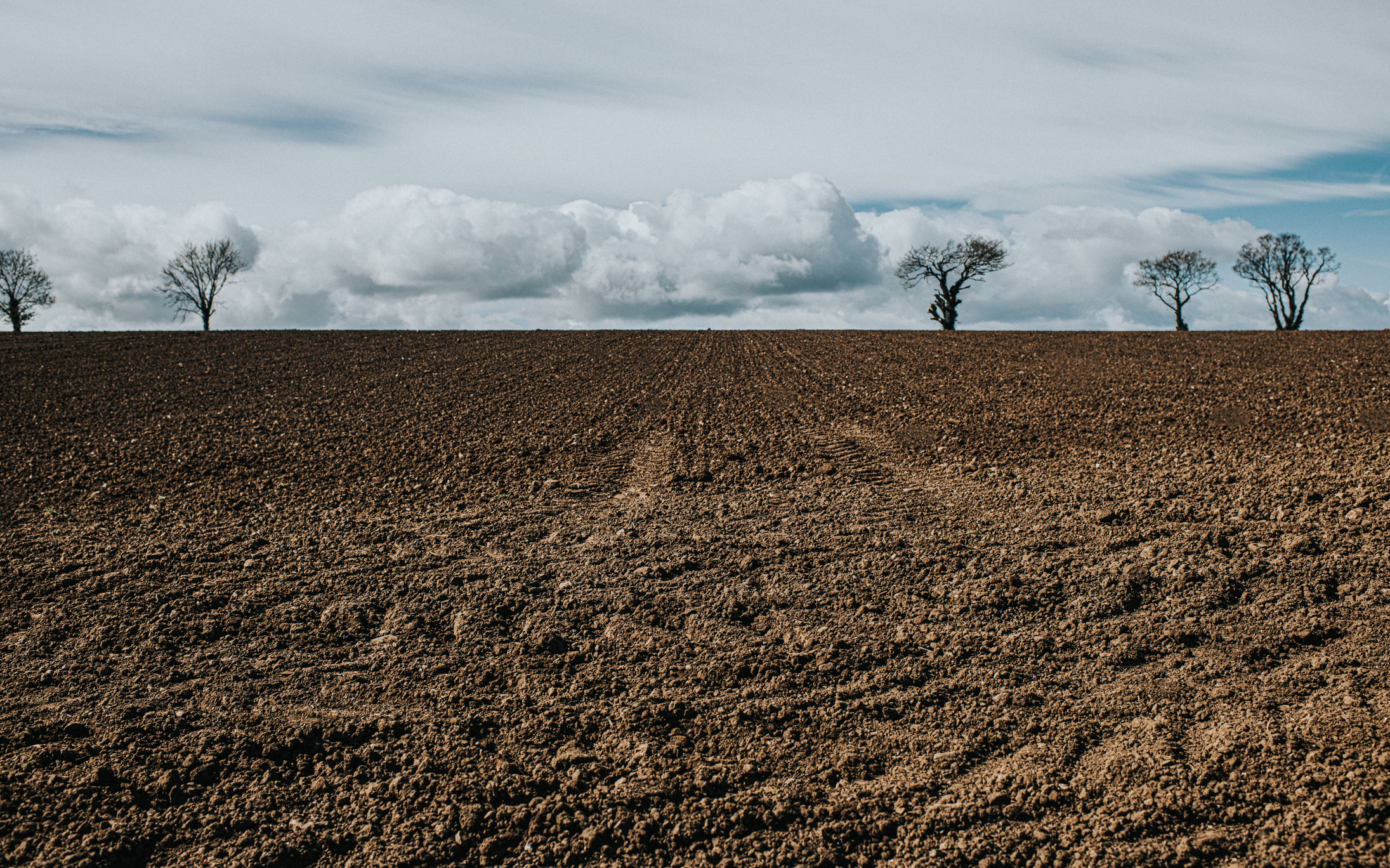 Bare agricultural field with skyline of leafless trees and clouds