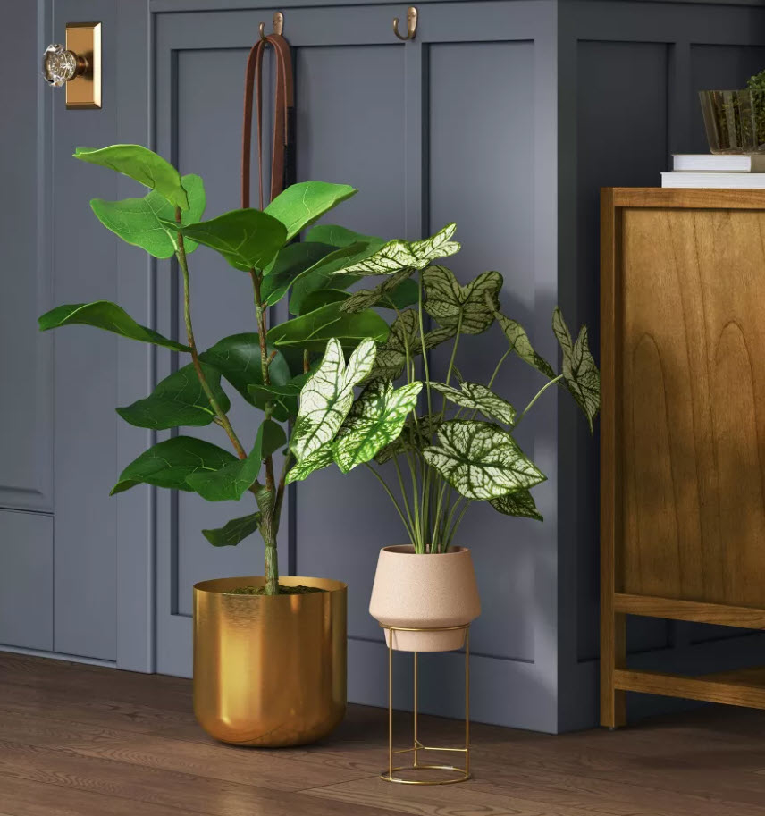 Indoor plants in pots beside wooden furniture, one tall and one smaller on a metal stand
