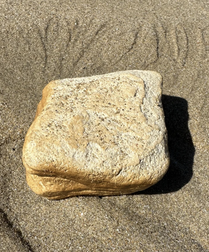 A rock on sandy beach with unique natural patterns, resembling slices of bread