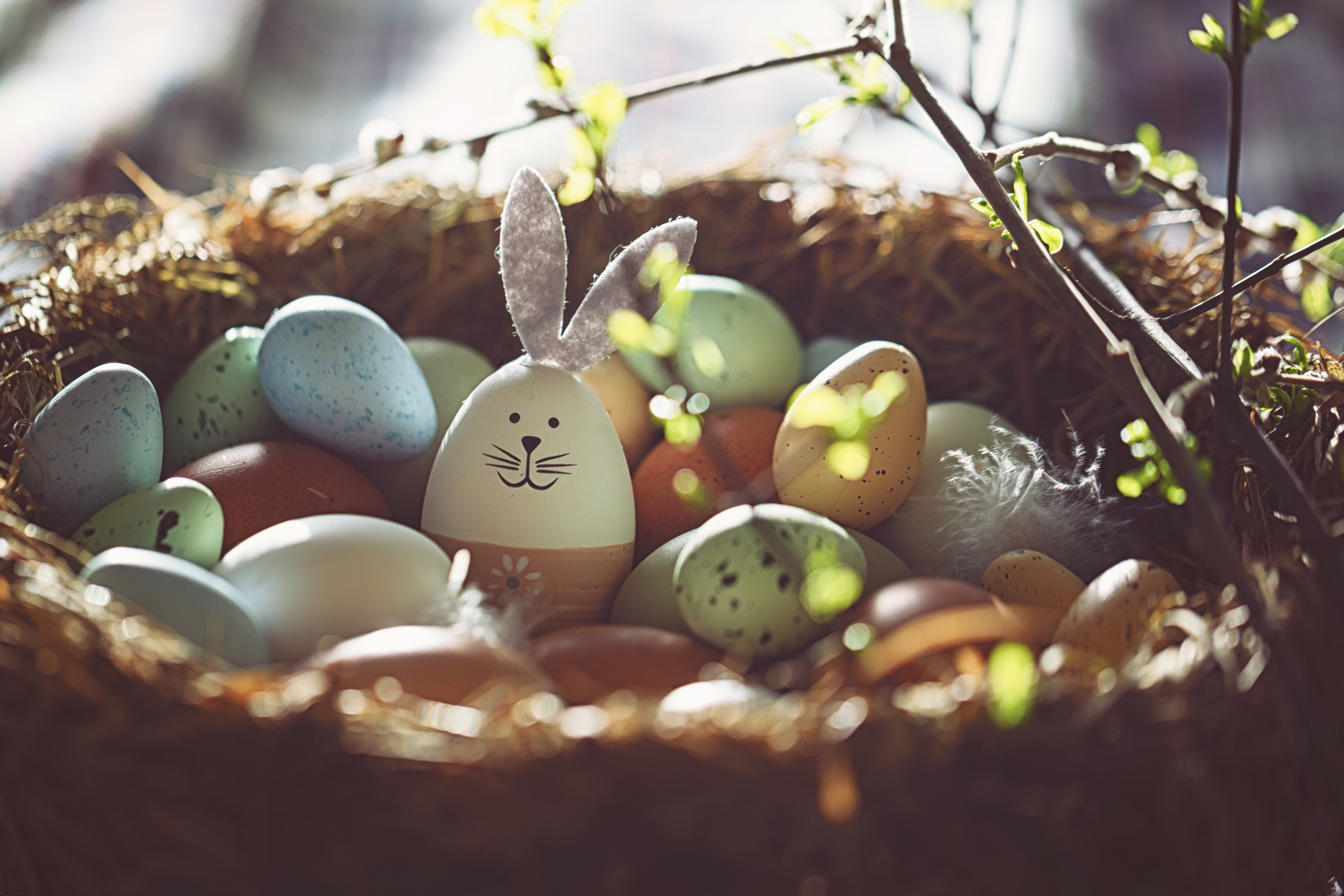 A nest with decorated Easter eggs and one egg with bunny ears and a drawn face