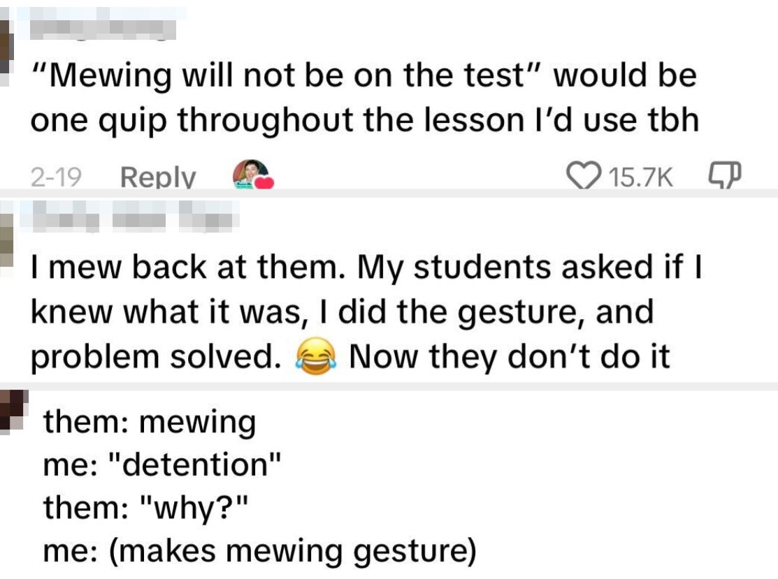 Social media screenshot discussing students&#x27; use of &#x27;mewing,&#x27; a teacher&#x27;s reaction, and a humorous classroom exchange on the topic