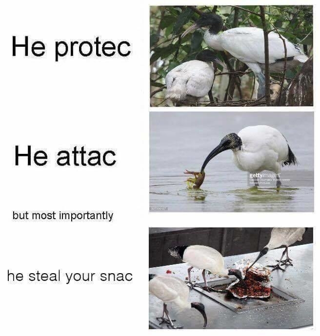 Could This Request Be Australia's Biggest Threat?