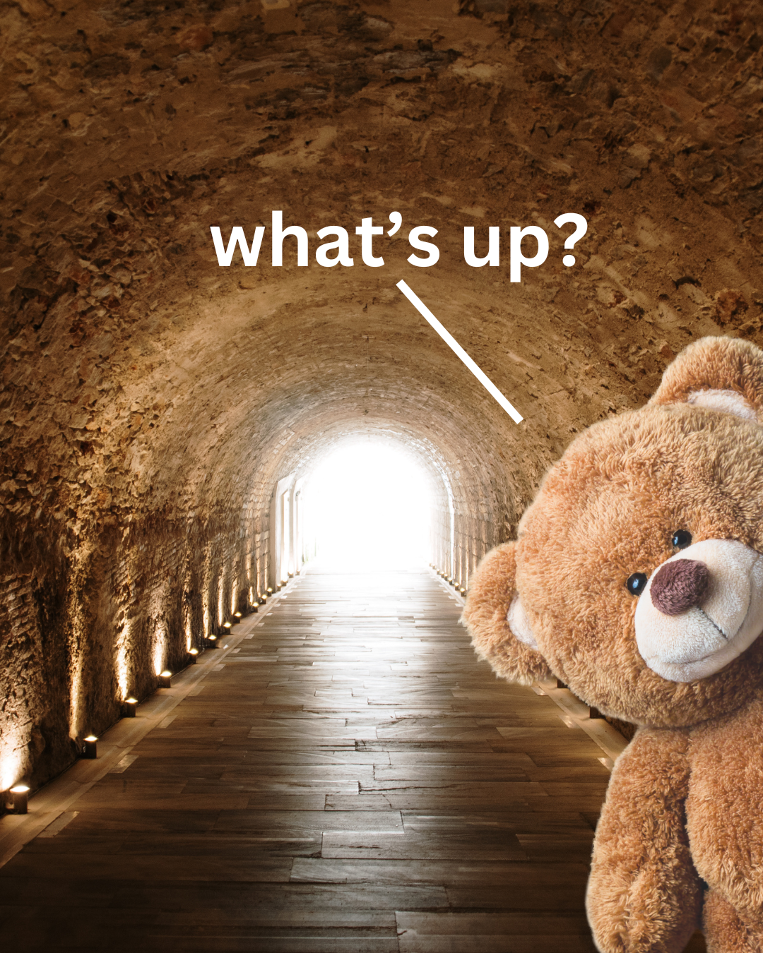 Plush teddy bear on right, in a well-lit tunnel with text "what’s up?" overhead