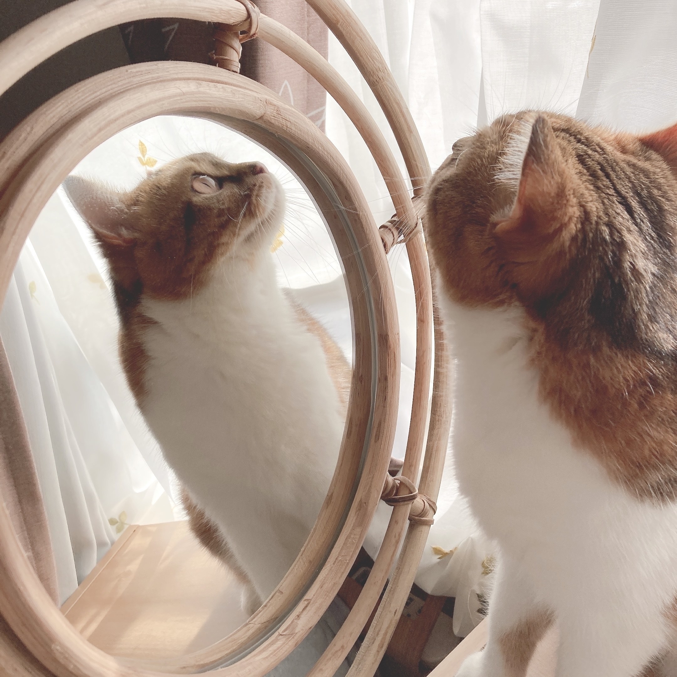 IKEA(イケア)のオススメのミラー「BUSKBO ブスクボー ミラー, 籐」