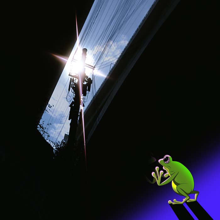 Person climbing a ladder towards a bright light, alongside an animated frog playing a banjo