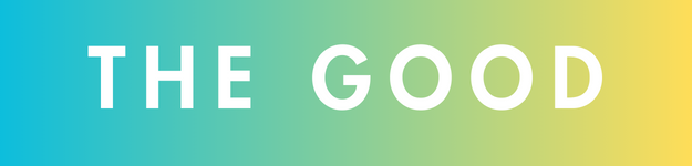 Gradient banner reading &quot;THE GOOD&quot; for a book-related article