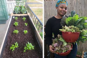 a raised bed planter and a person holding a bowl of leafy greens
