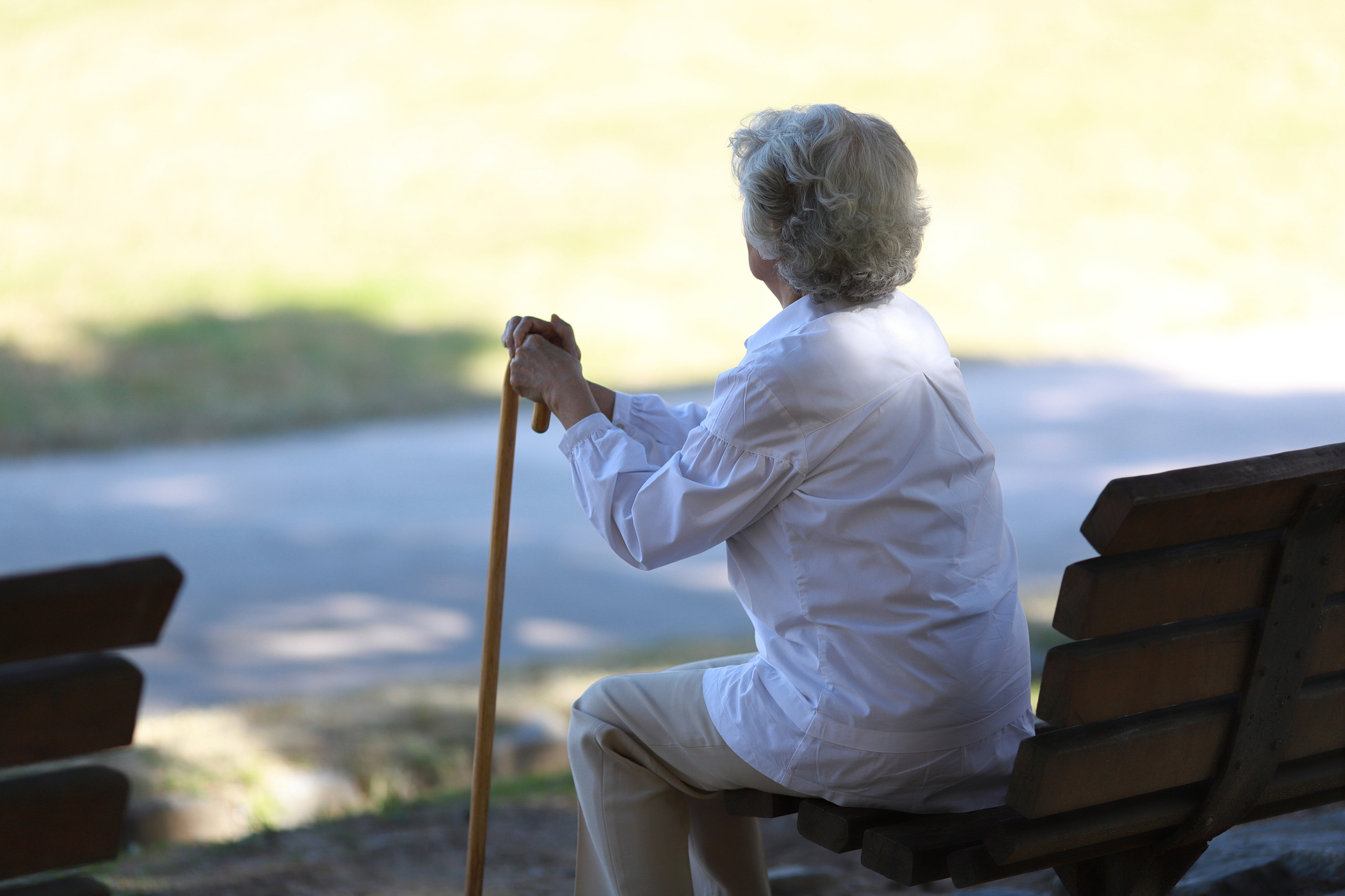 Elderly person sitting on a park bench, holding a cane, viewed from behind, in a contemplative pose
