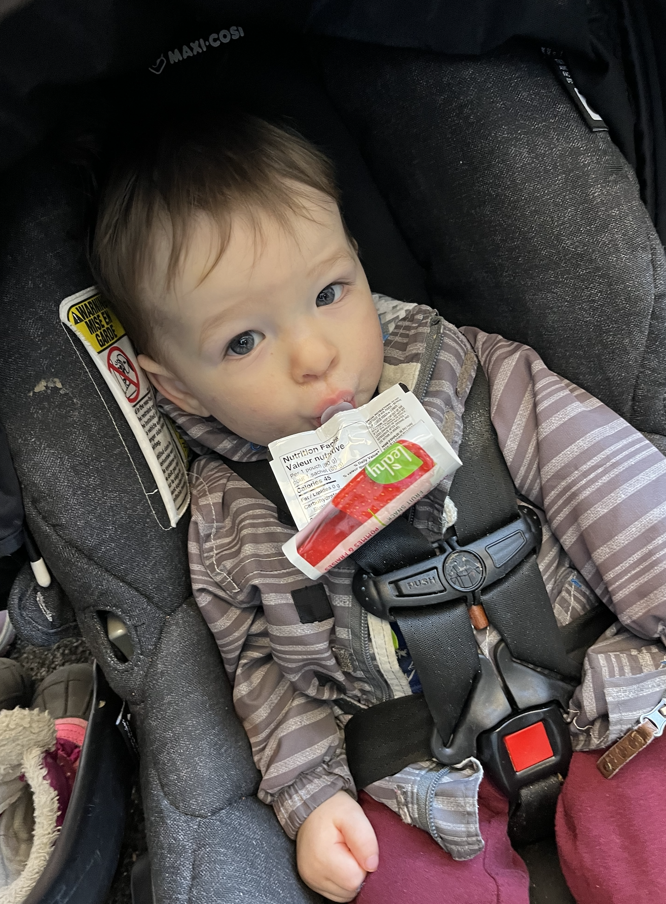 Toddler in a car seat holding a snack pouch, looking at the camera