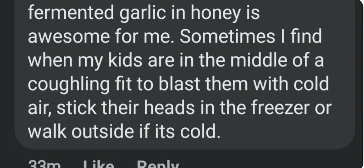 Image of a text post recommending fermented garlic in honey and using cold air for coughs