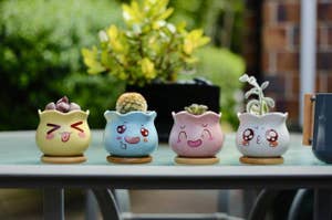 A set of four succulent pots with cute facial expressions