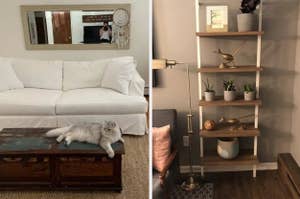 on left: white couch behind coffee table with cat lounging on top, on right: white and wood five-shelf bookcase