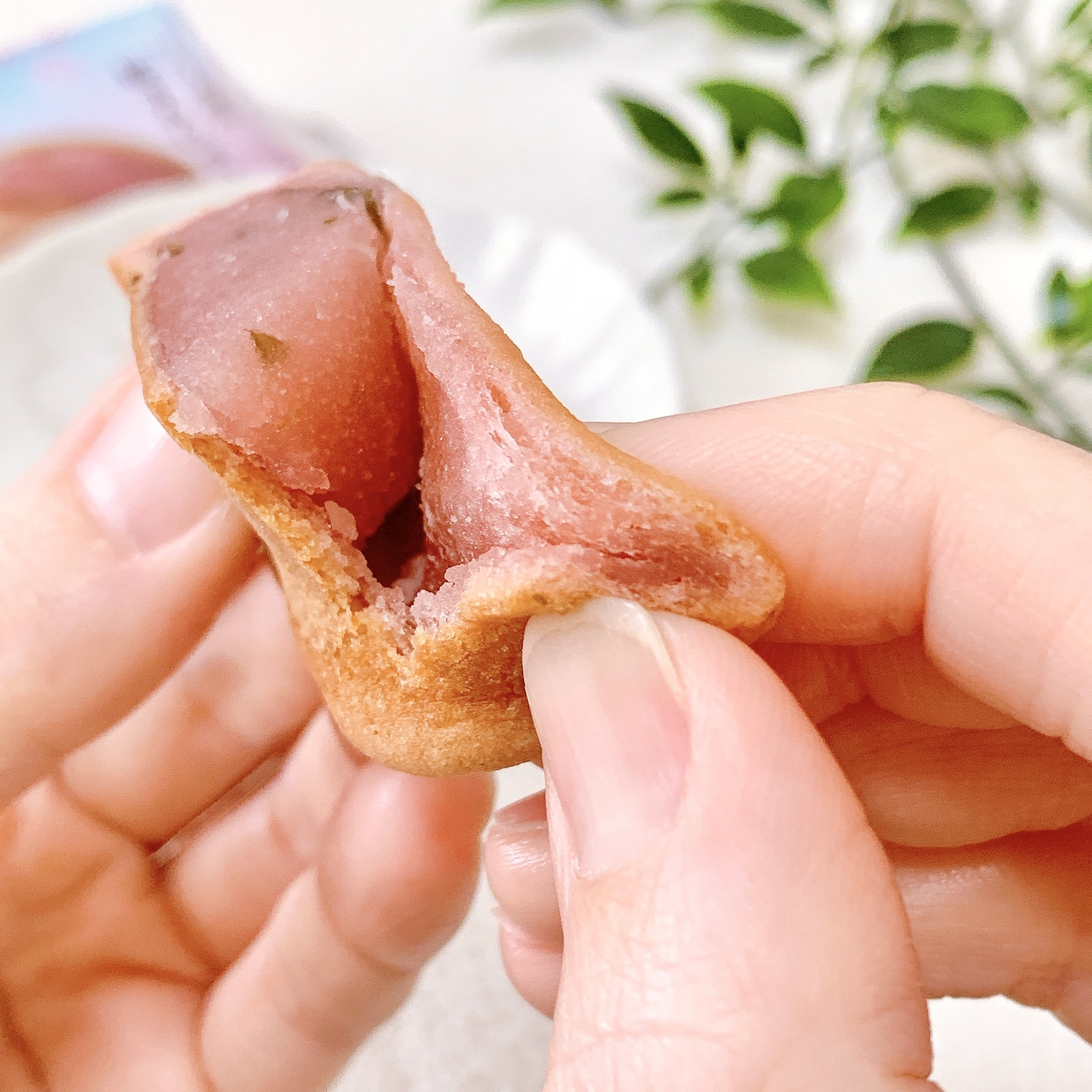 FamilyMart(ファミリーマート)のおすすめのお菓子「もっちり食感の桜まんじゅう」