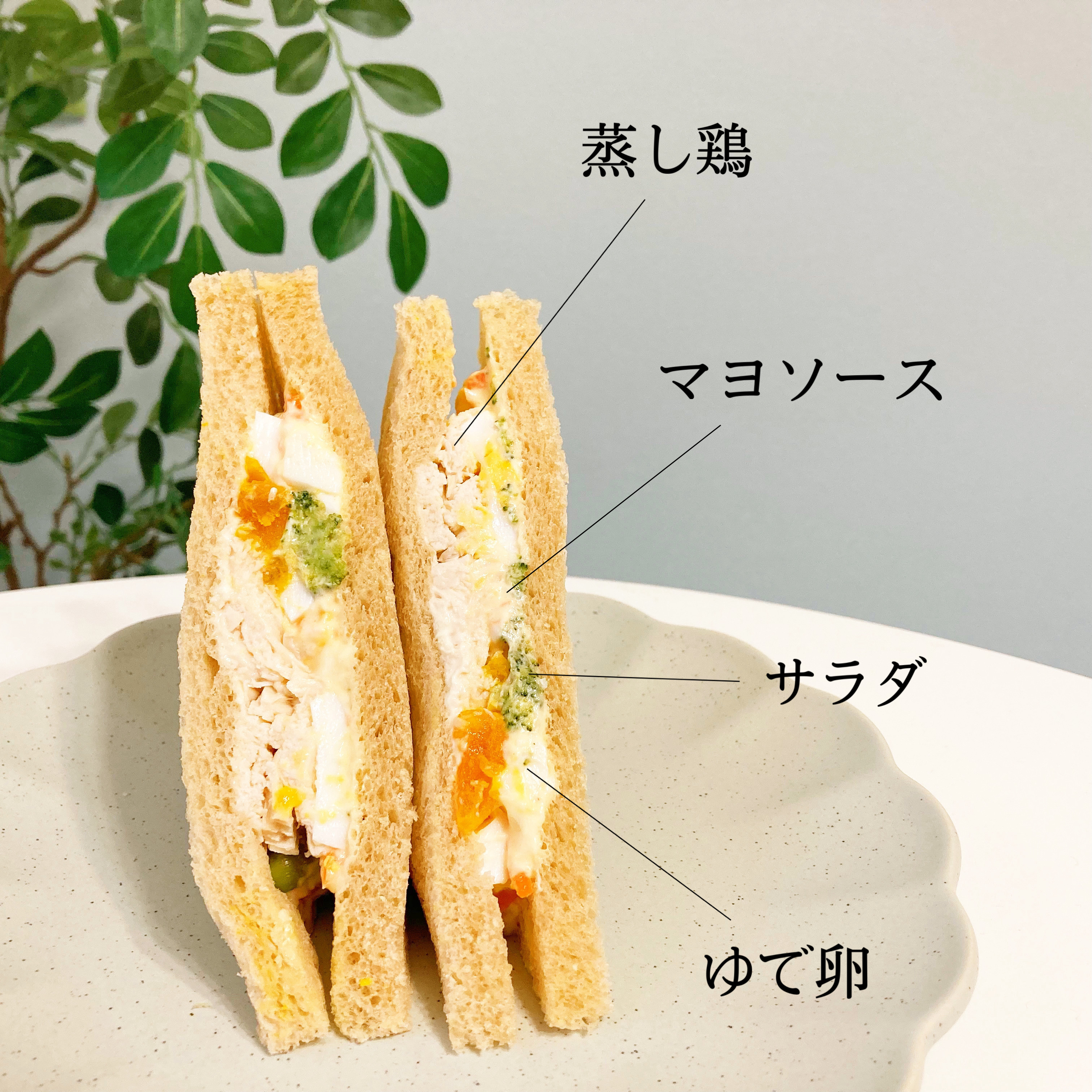 FamilyMart（ファミリーマート）の新商品「全粒粉サンド サラダチキンとたまご」