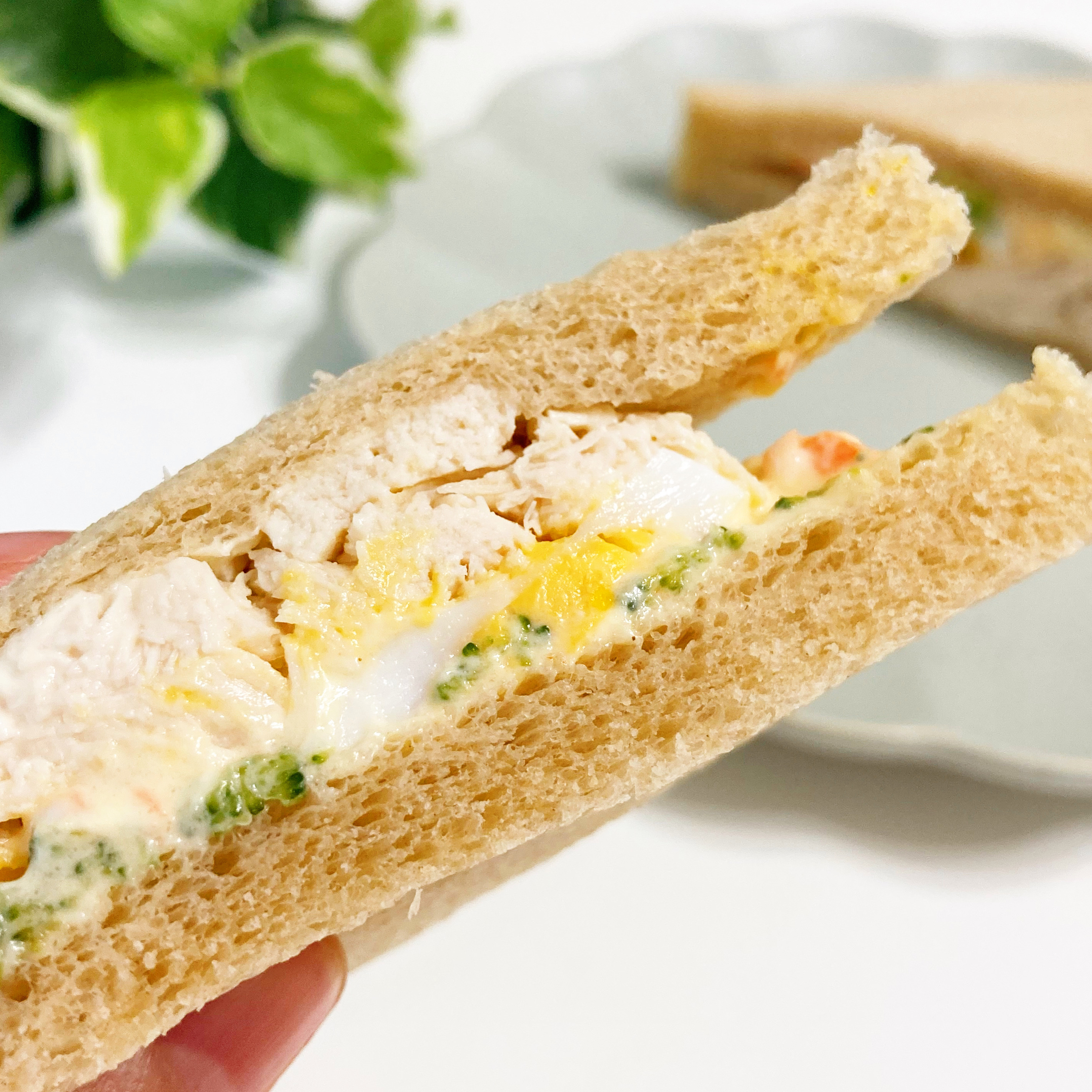 FamilyMart（ファミリーマート）の新商品「全粒粉サンド サラダチキンとたまご」