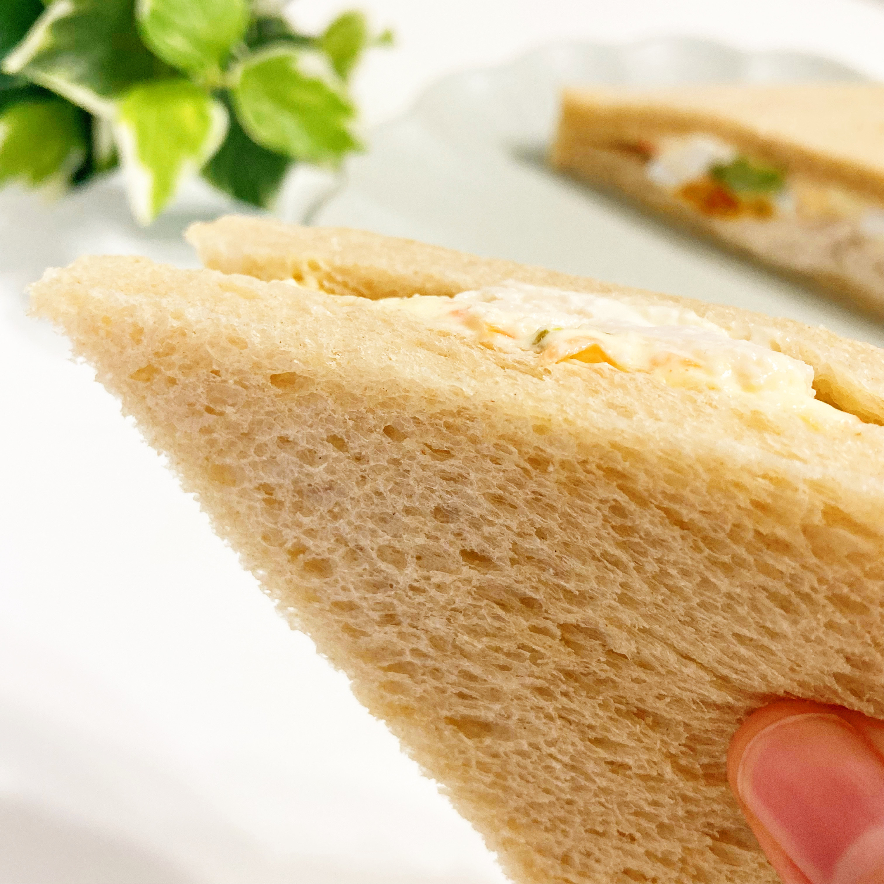 FamilyMart(ファミリーマート)の新商品「全粒粉サンド サラダチキンとたまご」