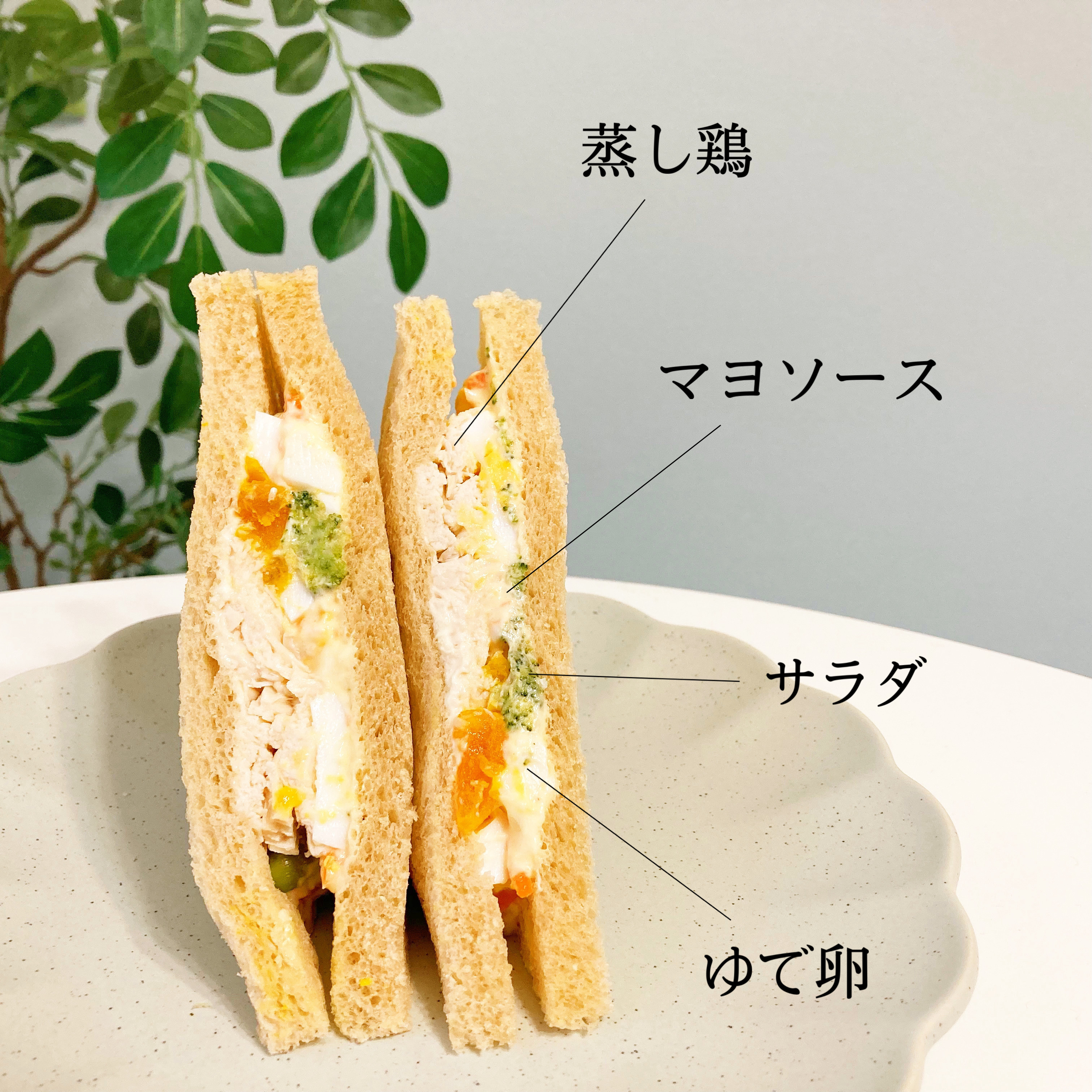 FamilyMart(ファミリーマート)の新商品「全粒粉サンド サラダチキンとたまご」