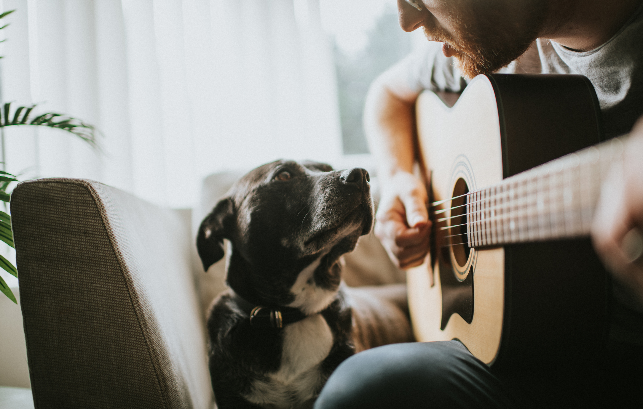 Man playing guitar with a dog attentively looking up at him