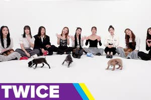 Nine members of TWICE sitting in a studio with three puppies