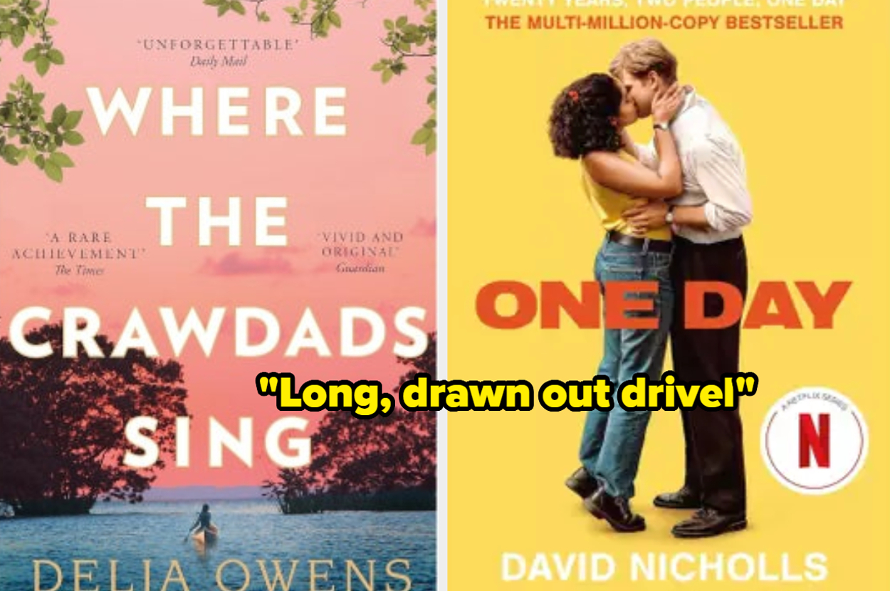 "Most Overrated Book In History" — 24 Books That Didn't Live Up To
Their Hype