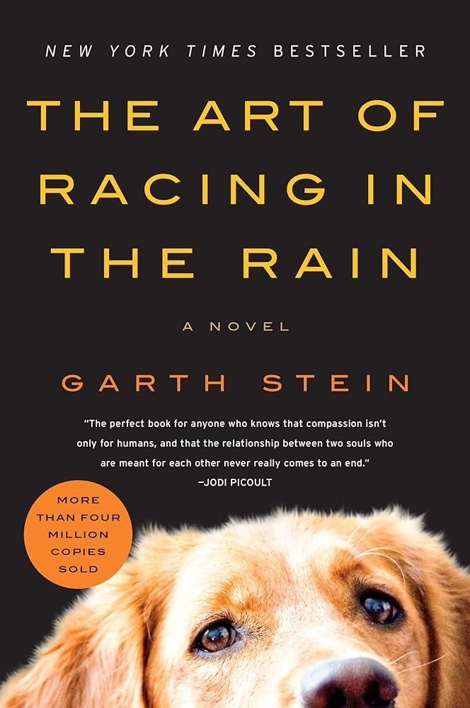 Book cover of &#x27;The Art in the Rain&#x27; by Garth Stein with a close-up of a dog&#x27;s face