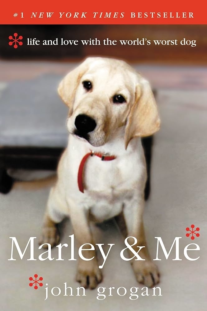 Book cover of &quot;Marley &amp;amp; Me&quot; featuring a Labrador Retriever sitting, with title and author John Grogan&#x27;s name