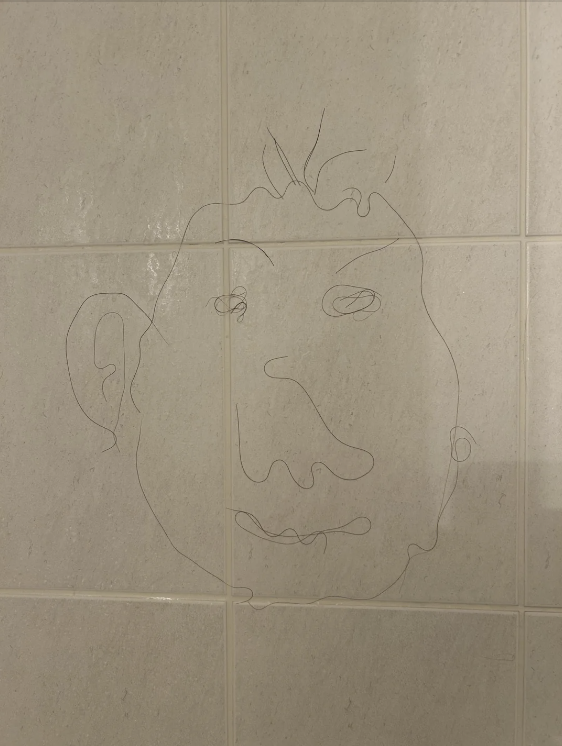 hair made into the shape of a face on a shower wall