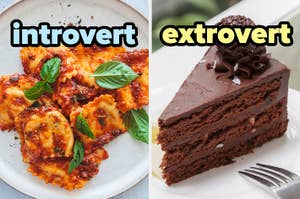 On the left, ravioli with marinara sauce labeled introvert, and on the right, a slice of chocolate cake labeled extrovert
