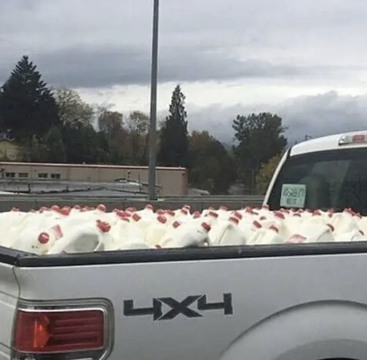 Truck bed filled with numerous gallon milk jugs, overcast sky in the background