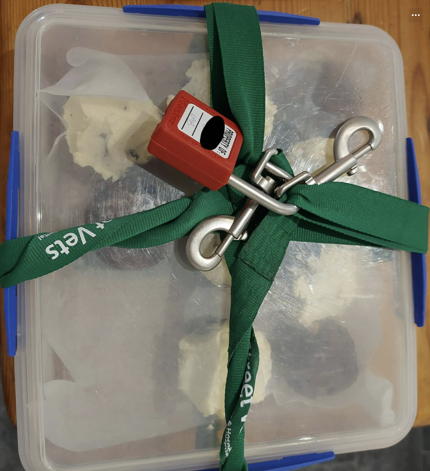 Plastic container secured with a green strap and padlock, hinting at humorous food protection measures