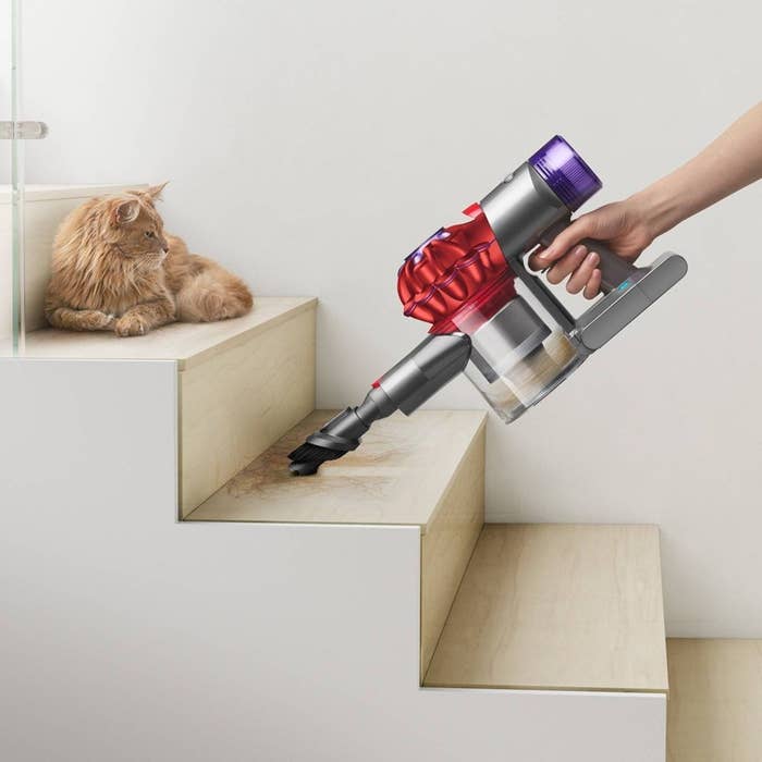 Person using a handheld vacuum on stairs near a cat, demonstrating product use for cleaning