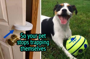 L: a reviewer photo of a gap guard on a door and text reading "So your pet stops trapping themselves", R: a reviewer photo fo a dog laying in the grass with a ball 