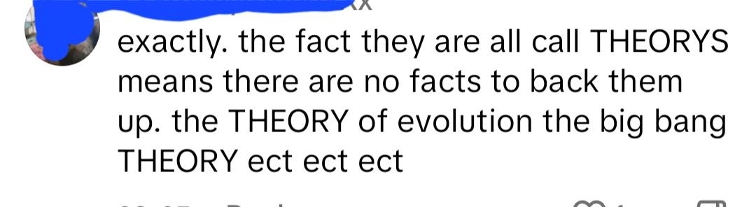 Comment discussing scientific theories: &quot;the fact they are all call THEORYS means there are no facts to back them up; the THEORY of evolution the big bang theory ect ect ect&quot;