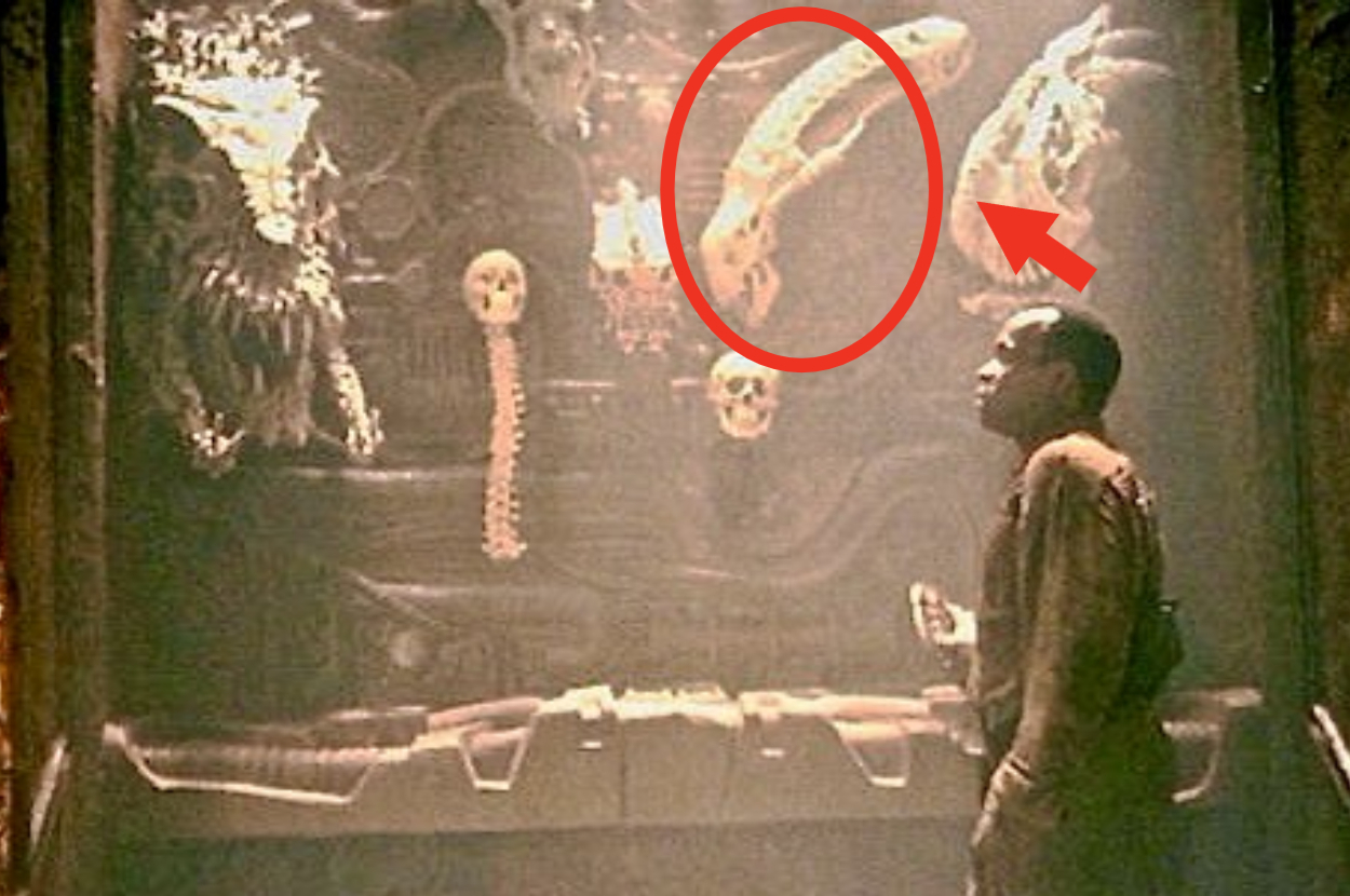 Man facing an alien queen with exposed tendril-like sacs in a dimly-lit chamber. A red circle highlights an area on the right