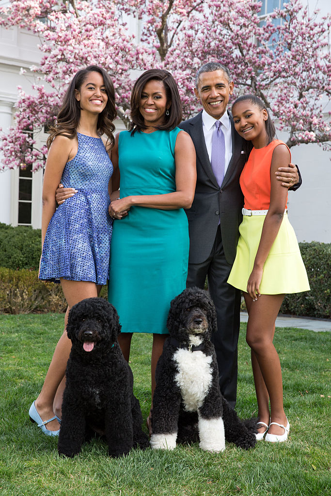 Family portrait of the Obamas with their two dogs, posing outdoors with a flowering tree in the background