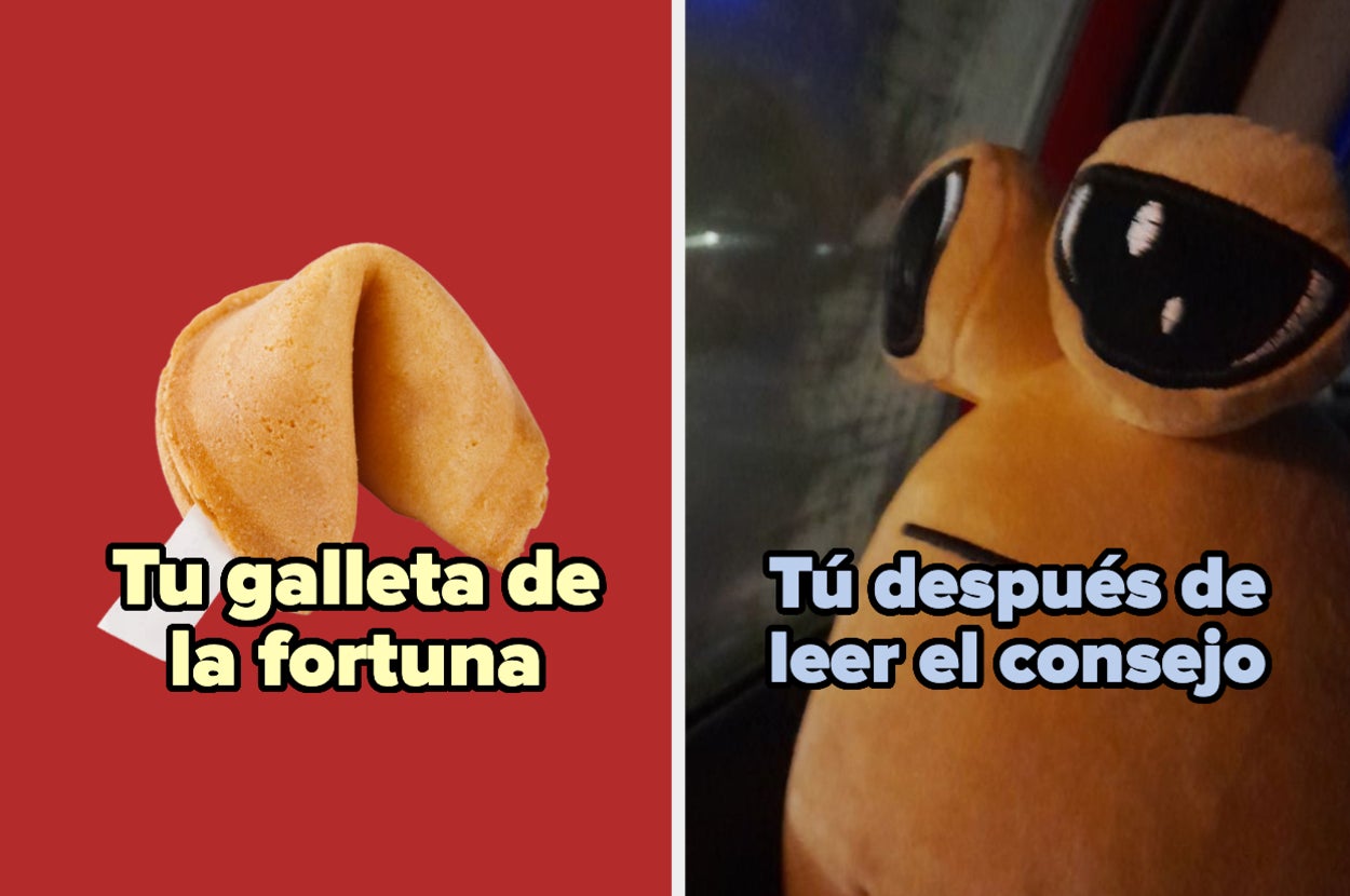 Galleta de la fortuna abierta y un peluche con expresión sorprendida tras leer un consejo