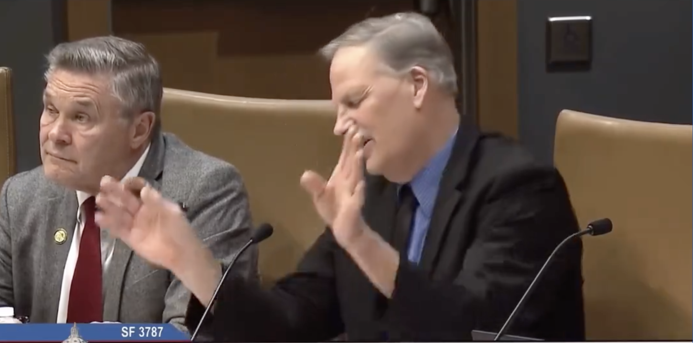 Dornink seated behind microphones in a hearing, gesturing