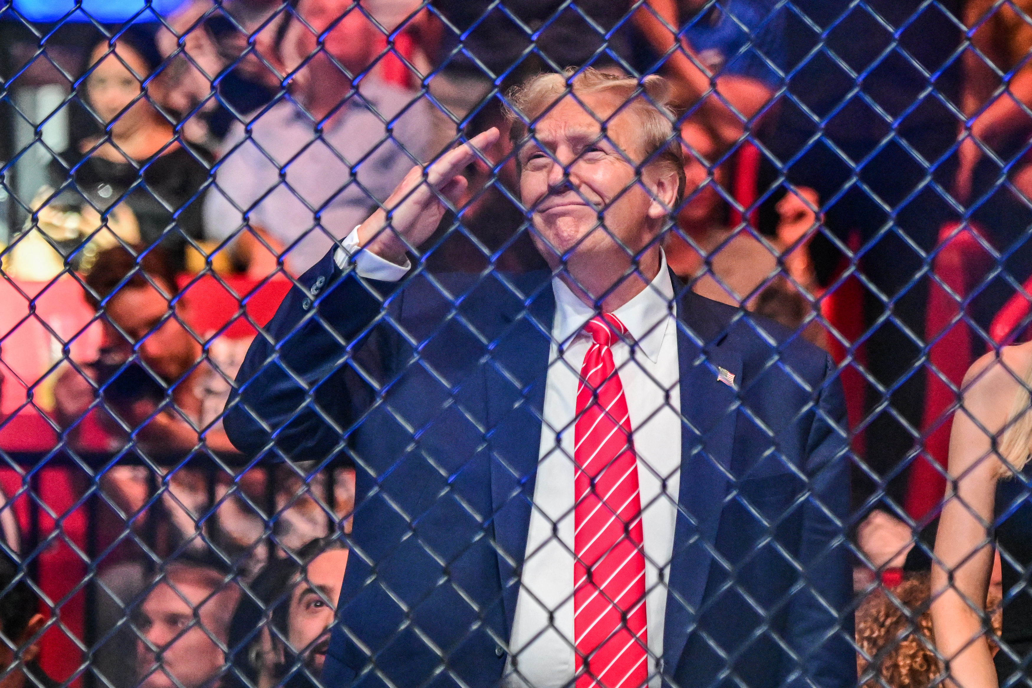 Donald Trump saluting behind a fence with a crowd behind him