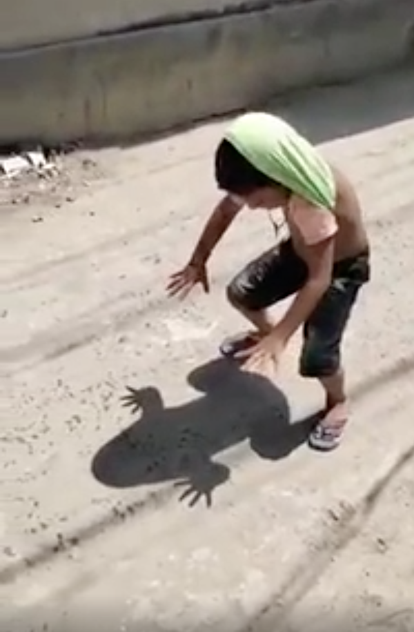 a child making a shadow of a frog on the ground