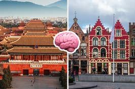 The Forbidden City and houses in Belgium with brain emoji in the middle.