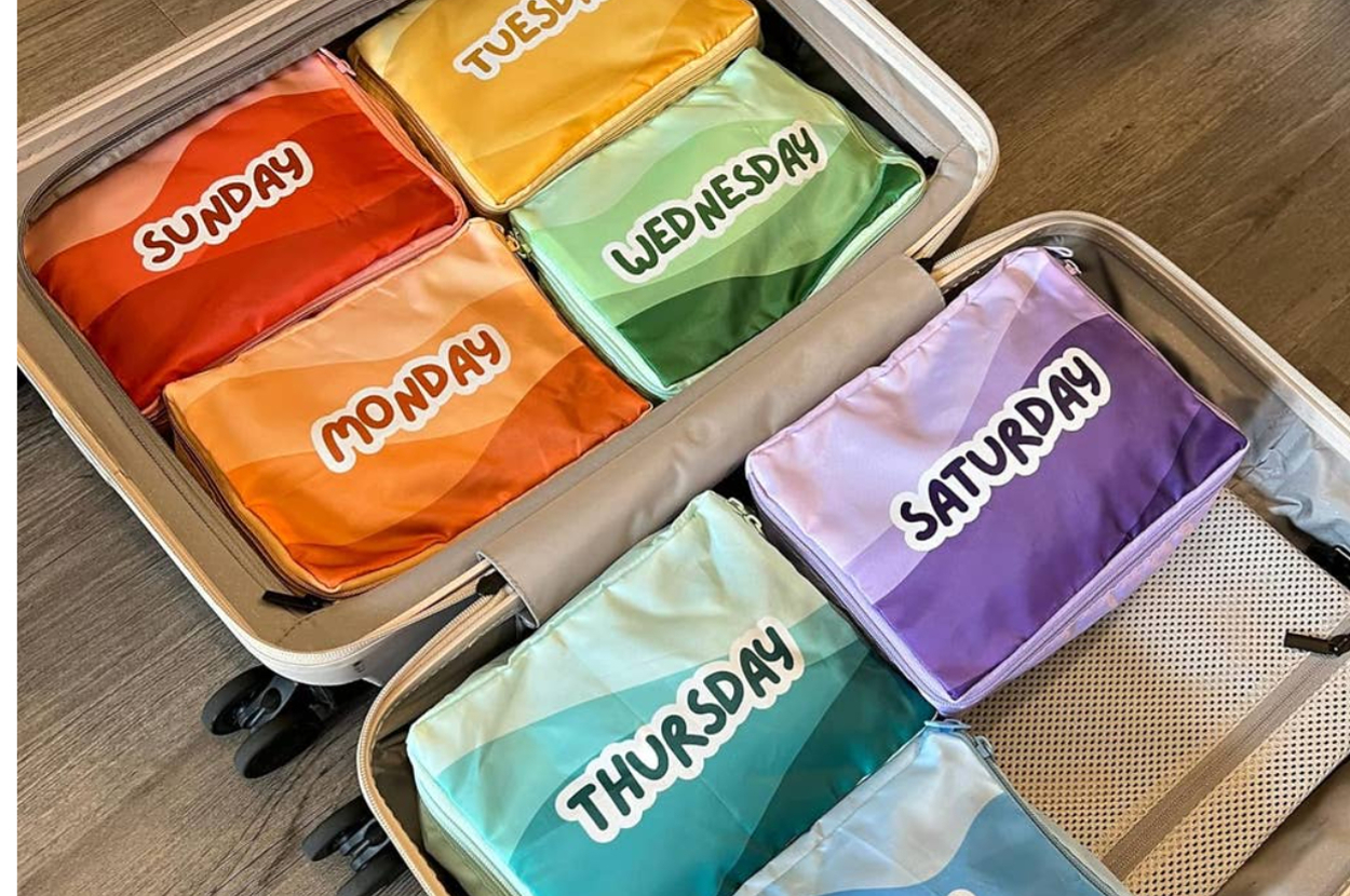 Travel Planning Tripit Vs Waterlog: Best App for Your Journey