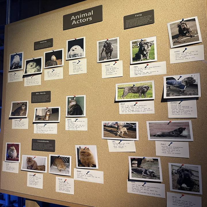 A poster of all the animals used on set