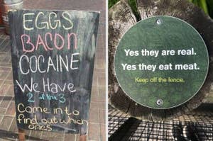 Two humorous signs: one lists menu items with a twist, the other warns not to touch a fence stating animals are real and carnivorous