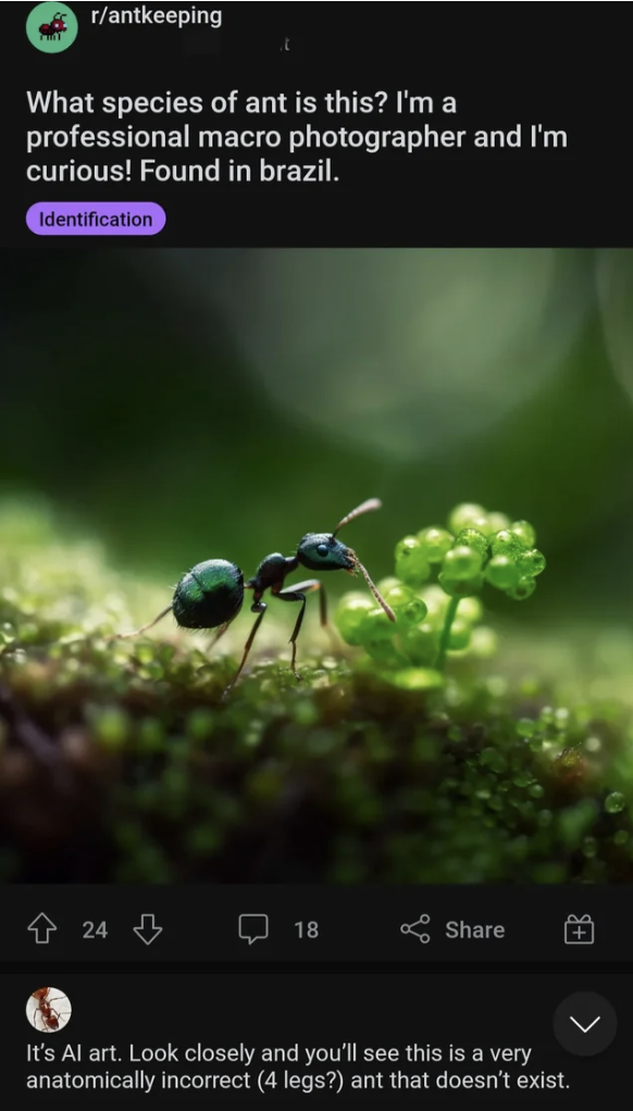 Ant in a natural setting with water droplets, posted by a macro photographer seeking species identification on a forum